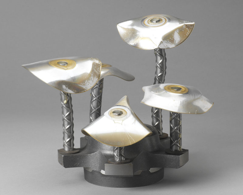 Magic Mushrooms